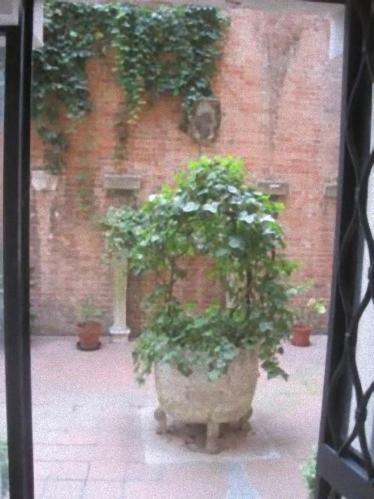 Ca Savelli Apartment Venesia Bagian luar foto